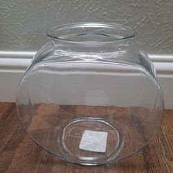 1 Gallon Fish Tank
