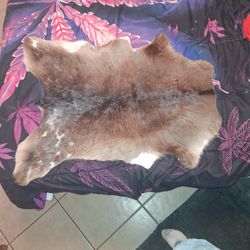 Reindeer Hide