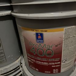 New White Flat Paint 