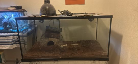 Reptile habitat