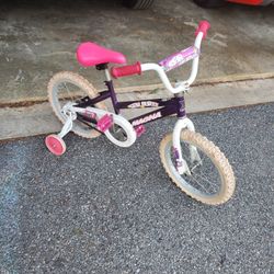 Star Burst Magna bike