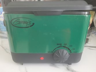 Electric Fryer