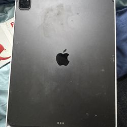 iPad Pro 11.9 in