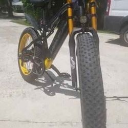 Electric Bike 1000w