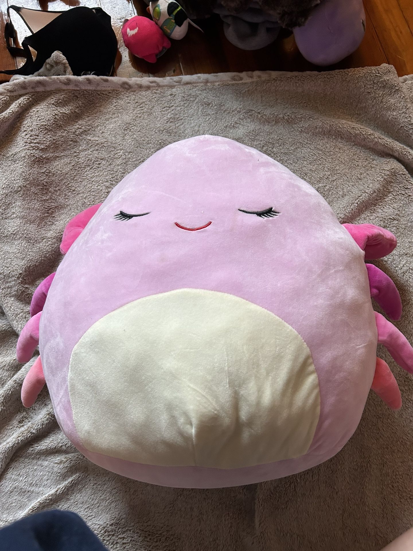 Cailey Crab Squishmallow