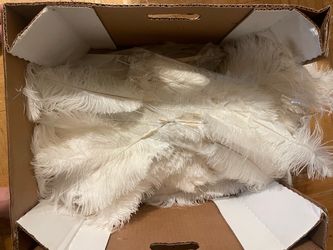 Ostrich Feathers | Wedding Decor
