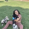Brisa