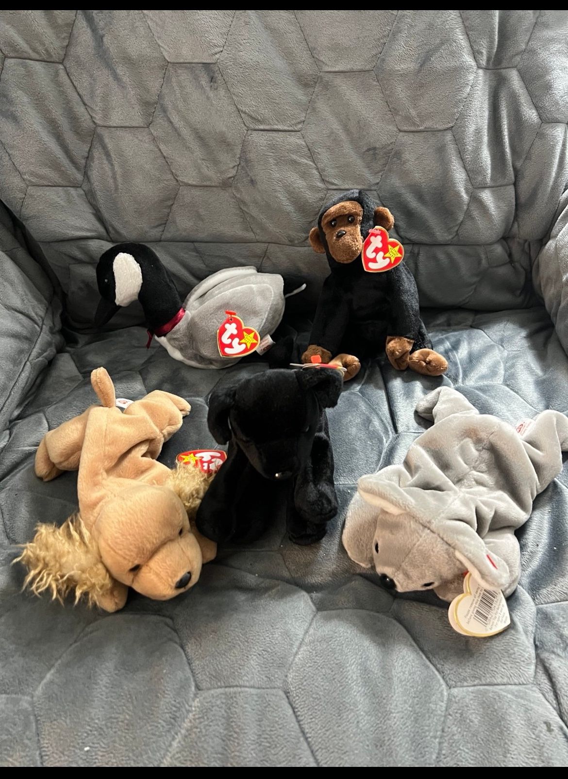 Beanie babies lot #12