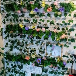 Alot Of Vines Decor Alot 