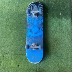 Anti- Hero Skateboard