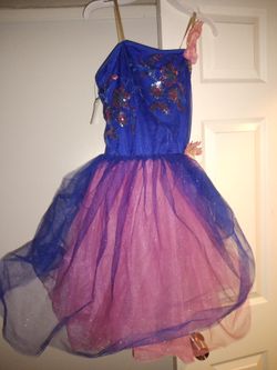 Princess Dress with tags Halloween costume