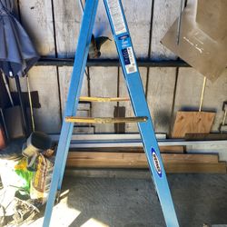 Werner 6 ft. Fiberglass Ladder