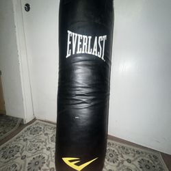 Punching Bag