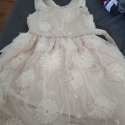 Dresses Differently Priced 