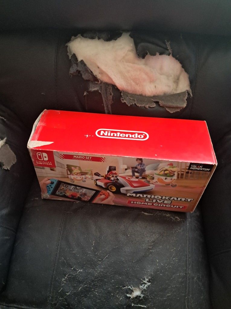 Mario Kart Set Goes With A Nintendo Switch
