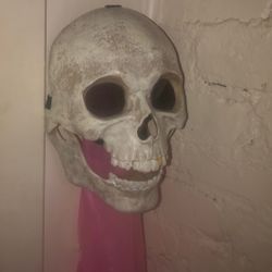 Skull Mask With Moving Jaw