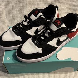 Nike SB Alleyoop(Size 11)New!