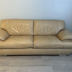 Couch-sofa FREE