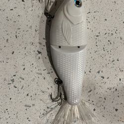 Big Fishing Lure