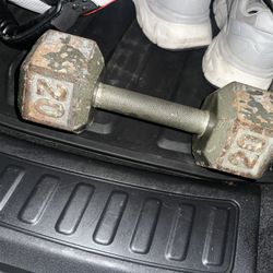 20 Lb Dumbbells
