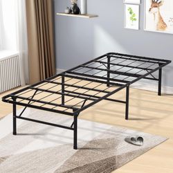2 Twin Metal Bed Frames 