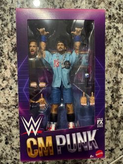 WWE cm punk punk life