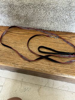Lupine pet dog Leash