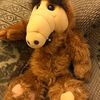 ALF
