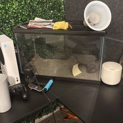 20 Gal Tank For Pets