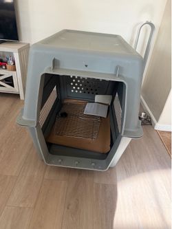 New dog kennel