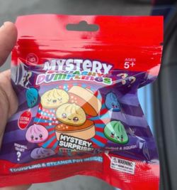 Mystery Squashy Dumplings Blind Bags