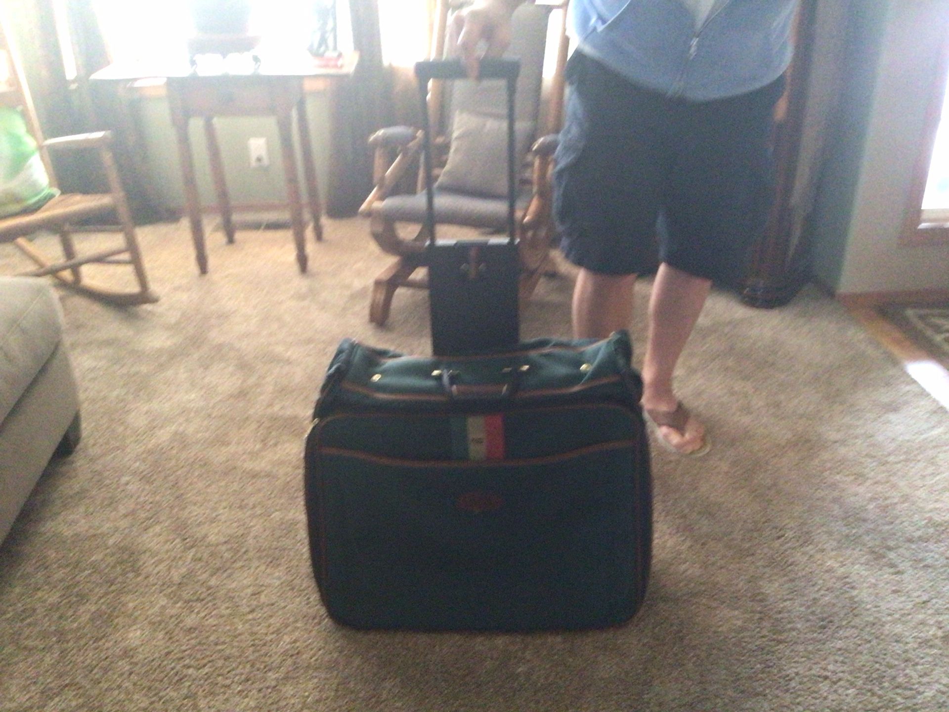 Vintage Lark Garment Travel Bag