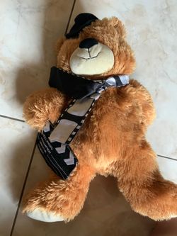 Universal studio bear