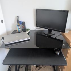 Computer Monitor ACER P215h