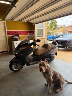 2013 yamaha majesty