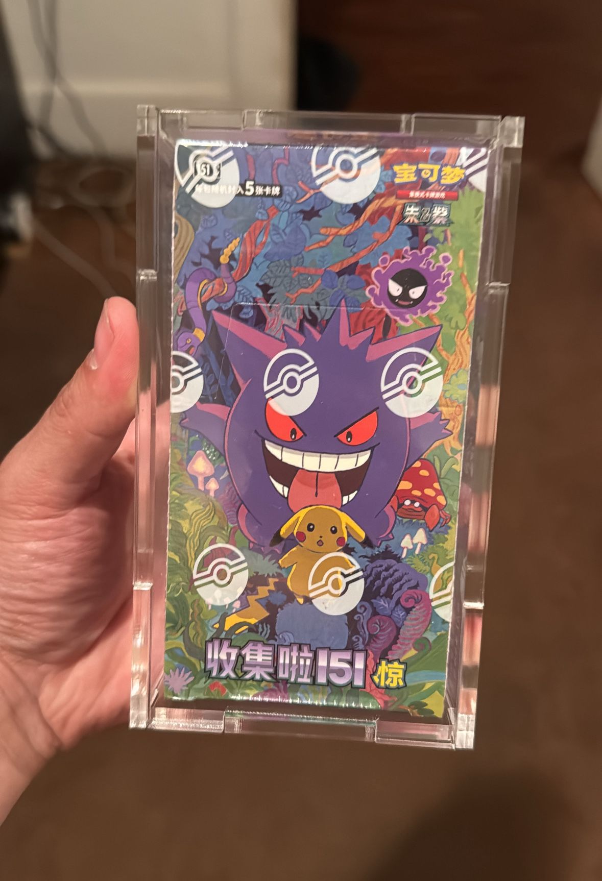 Pokemon Cards Chinese 151 Box 