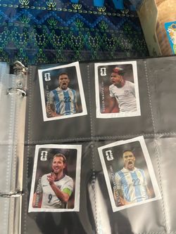 panini