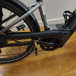 Cannondale Tesoro Neo X1