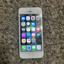 iPhone 5