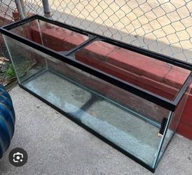 55  gallon fish tank