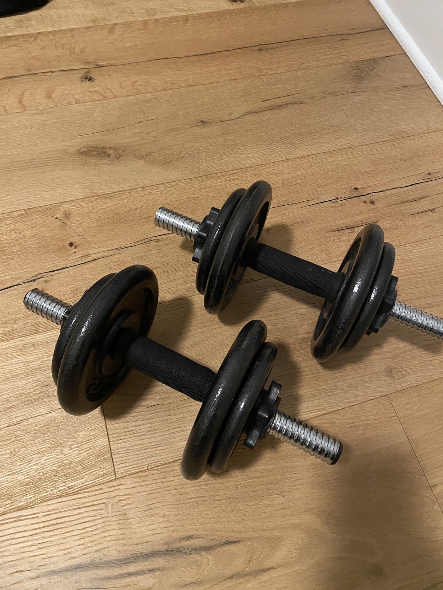 Dumbbell (Adjustable Weights) 