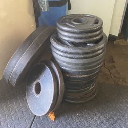 225lbs Olympic Weight Plates