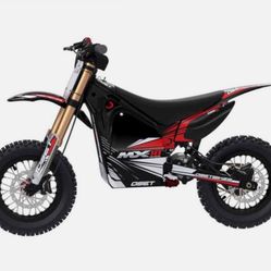 Mx10 Electric dirtbike MINI competition pro bike