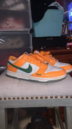 Famu Dunks