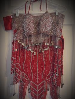 Belly Dance Bellydance Costume Top Skirt