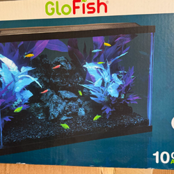 10 gallon glow fish aquarium