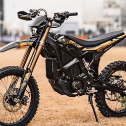 Ultra Bees 2025 Selling out Quick!