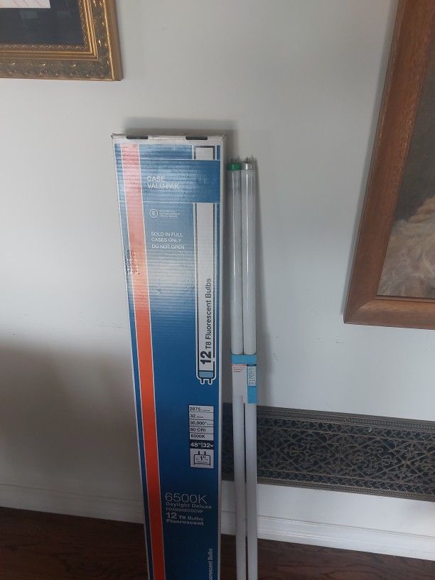 Fluorescent Bulbs T8 (13 Bulbs)