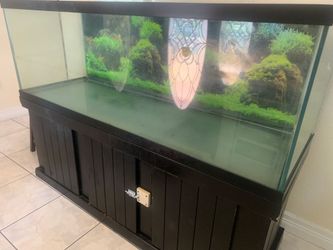 180 gallon aquarium trade for center speaker