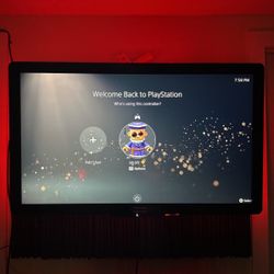 52” PHILLIPS OUTDOOR WITH MOUNT INCLUDED TV